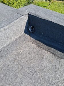 WhatsApp Image 2026-04-01 at 14.24.14