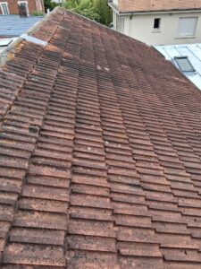 WhatsApp Image 2026-04-01 at 14.24.15 (14)