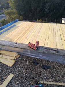 WhatsApp Image 2026-04-01 at 14.24.15