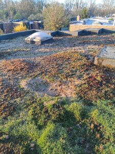 WhatsApp Image 2026-04-01 at 14.24.15 (5)